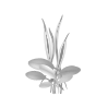 Amania wysmukła - Ammania gracilis